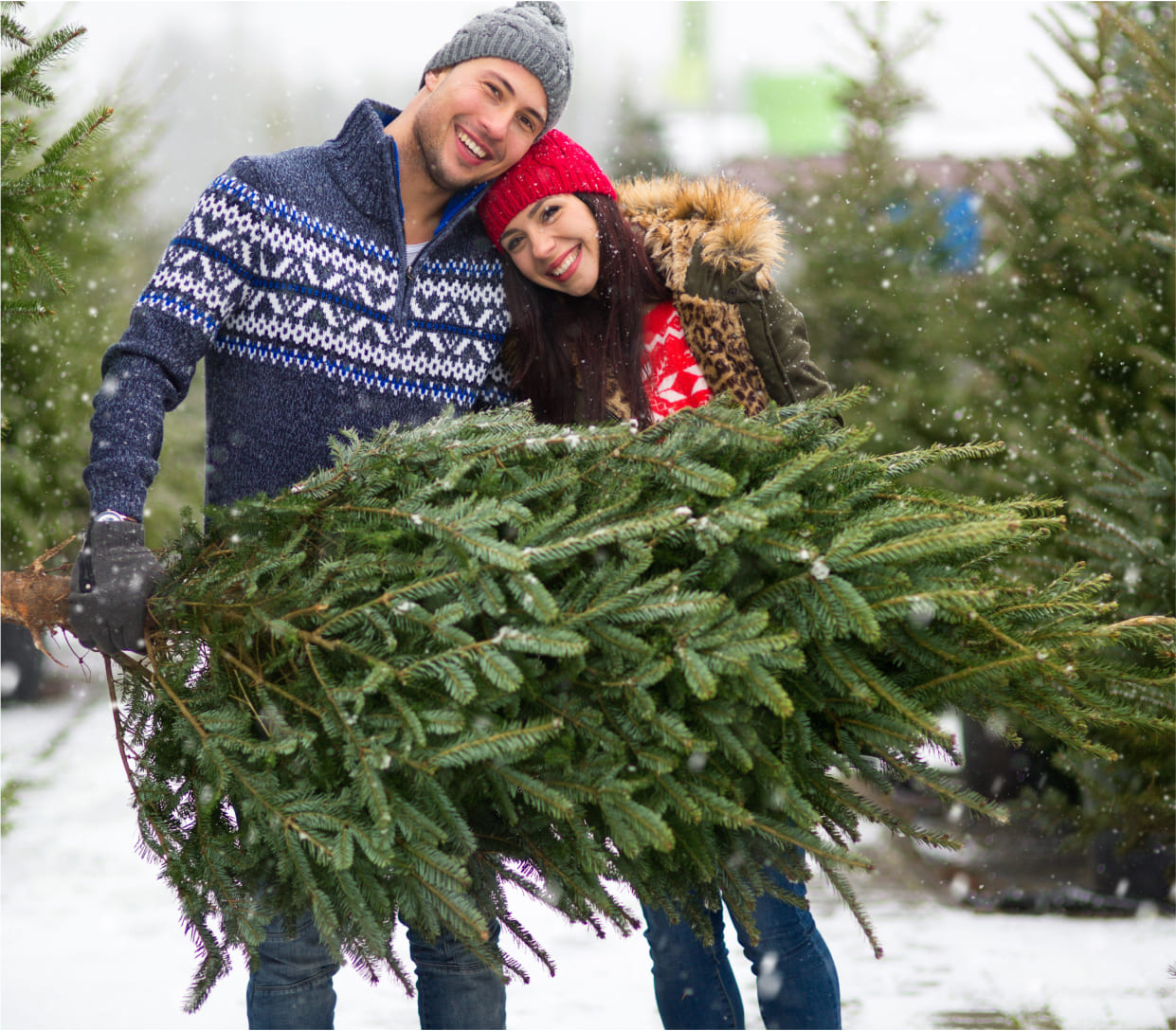 Lovely couple holding christmas tree